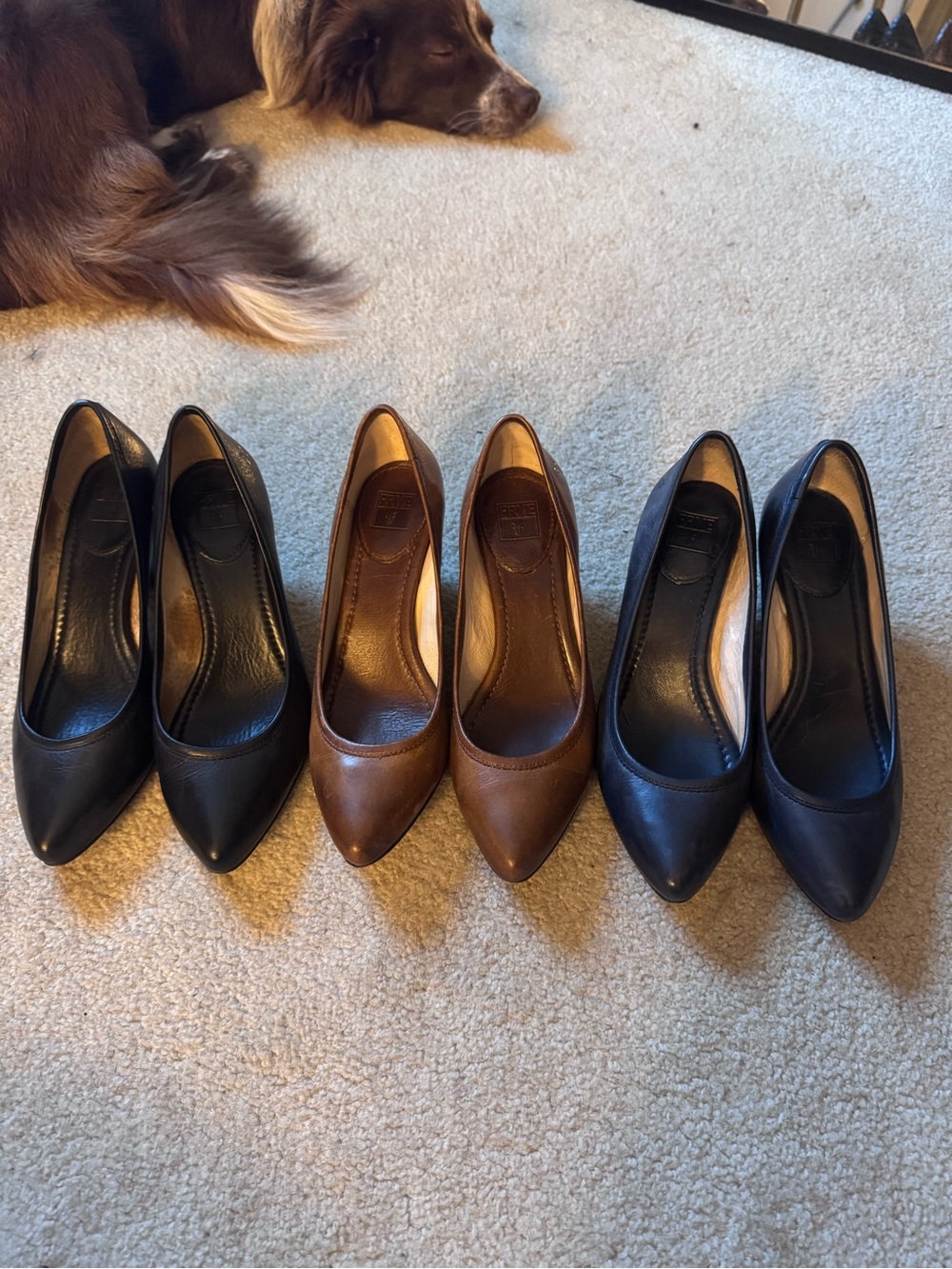 Budle of 3 pairs Frye Regina pumps